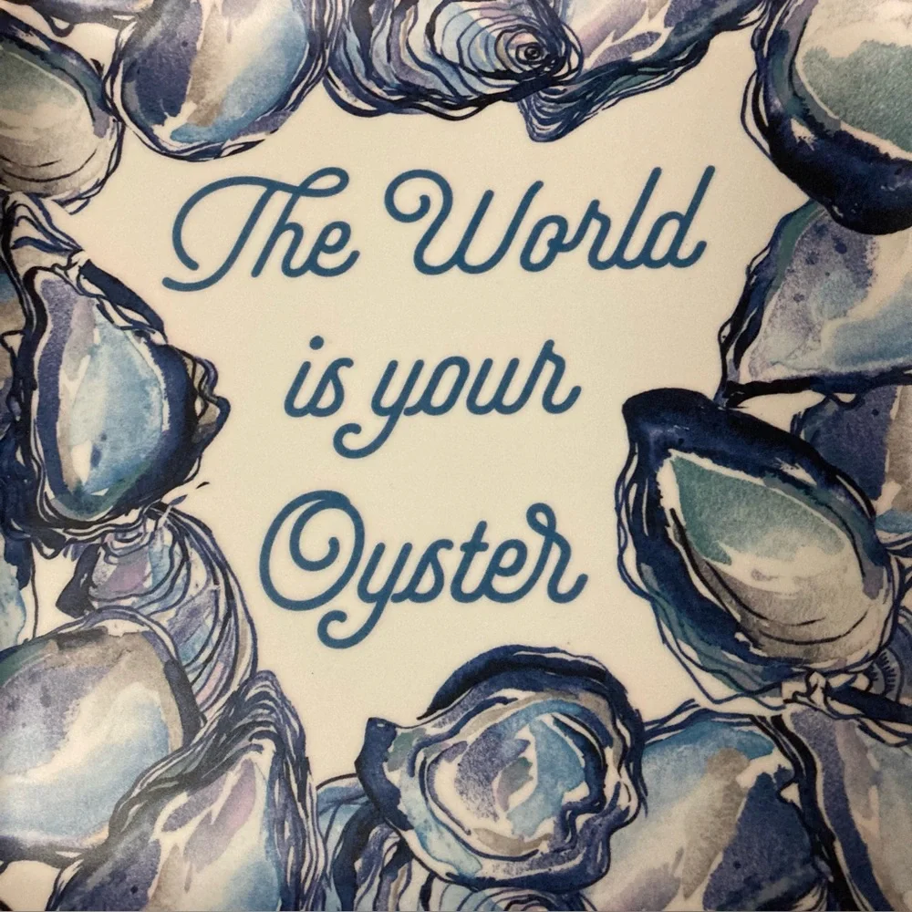 NWT Sigrid Olsen Melamine Appetizer Plates Set of 4 Tapas Plates Oyster Square